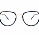Fdm009.c1